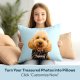 Fabric Textile Products Custom Pillow - USA Made - Personalized Pillows with Pictures or Text - Throw Pillow - Personalized Gift - Grandparent & Couples Gifts - Pet Pillow - Kids Pillows