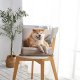 Personalized Throw Pillow Covers Custom Pillow Case with Photo Text Image, Square Pillowcase Cushion Covers for Sofa Couch Bed Chair Farmhouse Decorative Throw Pillows Multi Standard Size Optional