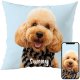 Fabric Textile Products Custom Pillow - USA Made - Personalized Pillows with Pictures or Text - Throw Pillow - Personalized Gift - Grandparent & Couples Gifts - Pet Pillow - Kids Pillows