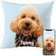 Fabric Textile Products Custom Pillow - USA Made - Personalized Pillows with Pictures or Text - Throw Pillow - Personalized Gift - Grandparent & Couples Gifts - Pet Pillow - Kids Pillows
