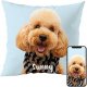 Fabric Textile Products Custom Pillow - USA Made - Personalized Pillows with Pictures or Text - Throw Pillow - Personalized Gift - Grandparent & Couples Gifts - Pet Pillow - Kids Pillows